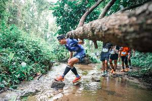 BIB: 
                            <button type="button" onclick="openModal(25374479)" class="btn btn-primary btn-sm float-right btn-popup" data-toggle="modal" data-target=".modal-high-quality">
                        <i class="fas fa-shopping-cart"></i> Add to Cart
                    </button>
                                            <button type="button" onclick="isThisMe(25374479, true)" class="btn btn-success btn-sm float-right btn-popup btn-isme hidden" data-toggle="tooltip" data-placement="bottom" title="นี่คือรูปของคุณใช่ไหม คลิกที่นี่เพื่อเอาเข้าอัลบั้ม">
                        <i class="fas fa-plus"></i> Add to album
                    </button>
                    <button type="button" onclick="isThisMe(25374479, false)" class="btn btn-warning btn-sm float-right btn-popup btn-isnotme hidden">
                        <i class="fas fa-ban"></i> Remove from album
                    </button>